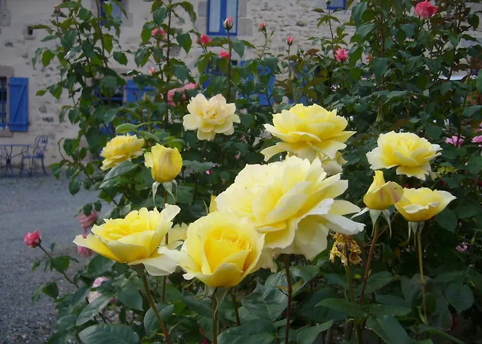 La petite Vallee